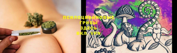 индика Балабаново