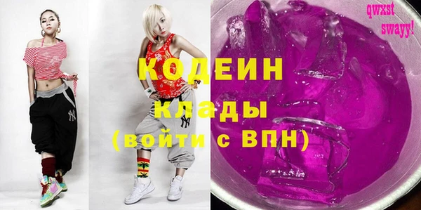 индика Балабаново