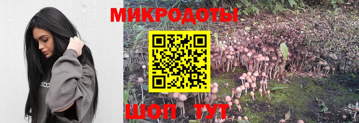 Псилоцибиновые грибы Cubensis Белорецк