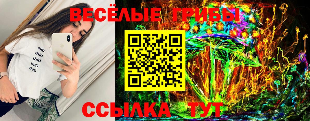 Псилоцибиновые грибы мицелий  закладки  Белорецк  Вход с VPN 